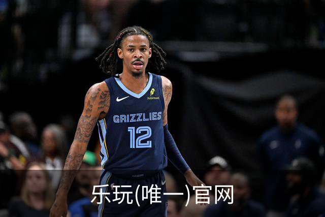 乐玩(唯一)官网